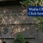 Wadia Children Hospital : CME Sept 2011
